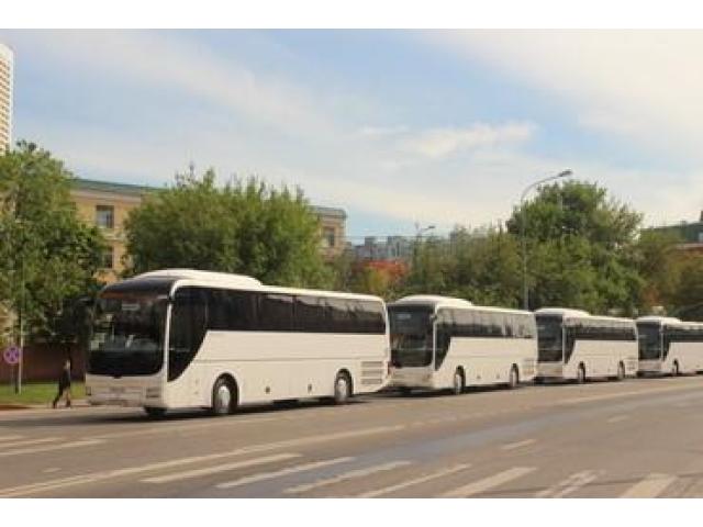 Аренда туристического автобуса MAN, Mercedes-Benz, KING LONG